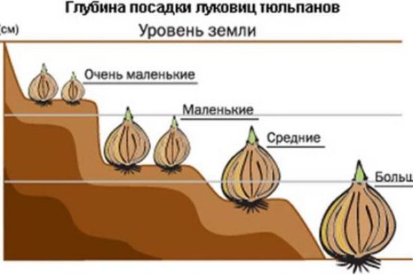 Кракен сайт официальный onion