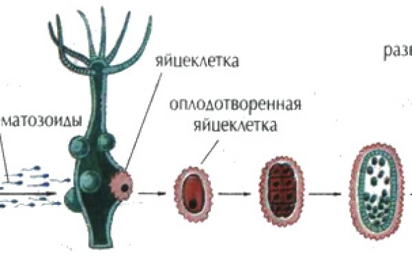 Кракен плейс