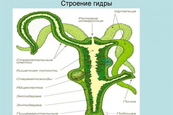 Кракен kr2web in маркетплейс