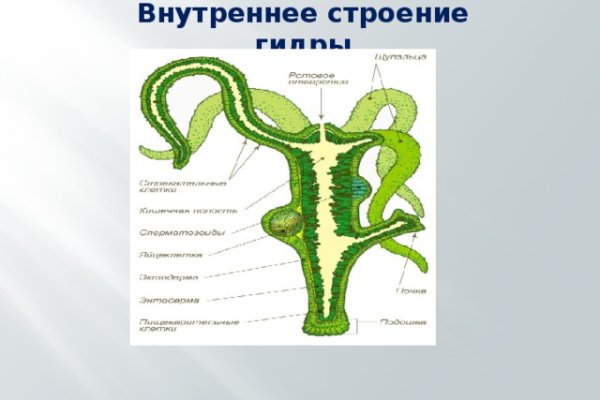 Ссылка на кракен даркнет