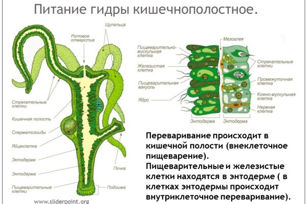 Украли аккаунт кракен