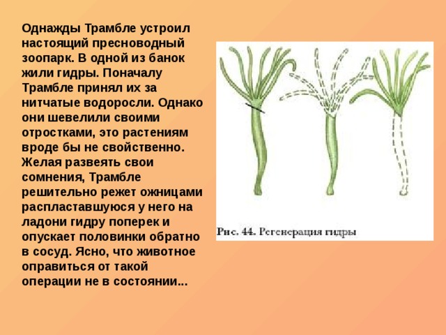 Почему сегодня не работает площадка кракен